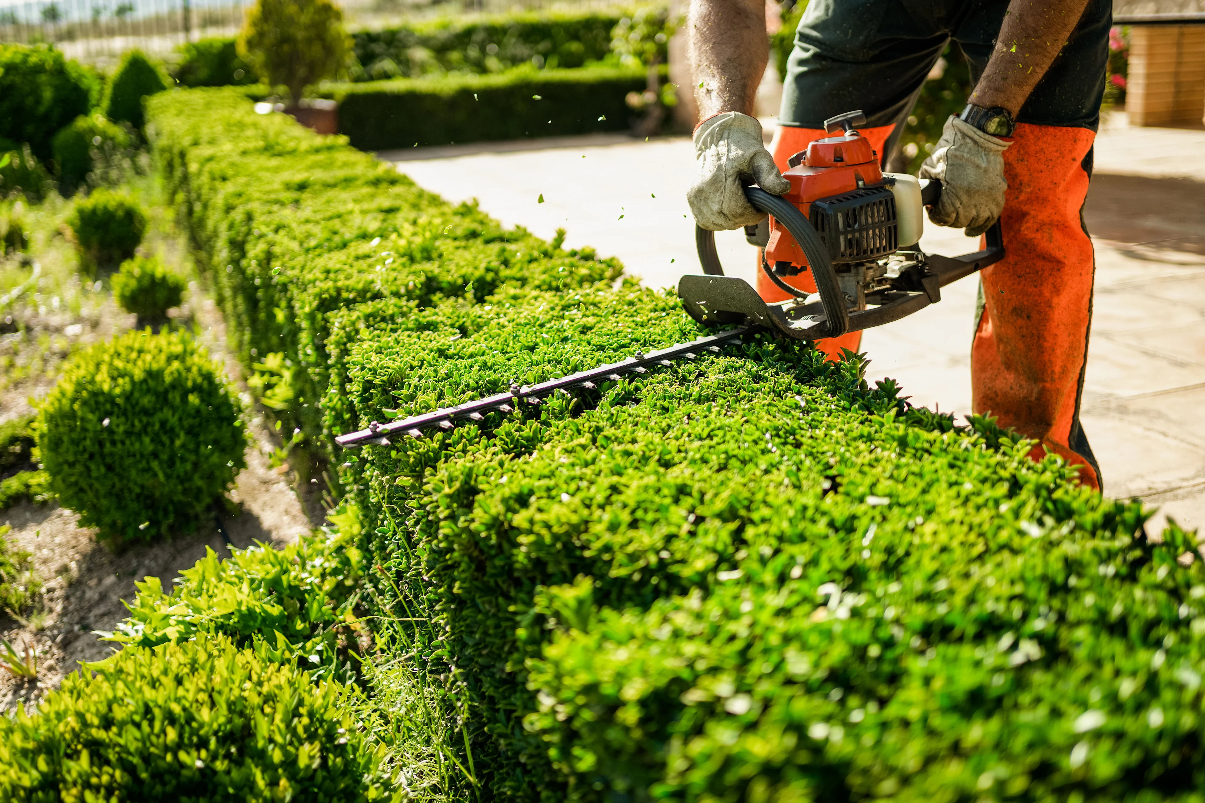 Landscaping